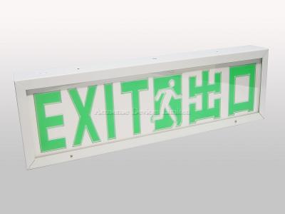 LED Exit Box (Single face)